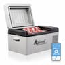 Alpicool C20 (20 L, compresseur, -20 °C)