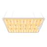 Spider Farmer SF1000D lampe LED full-spectrum Samsung LM301B (100 W)
