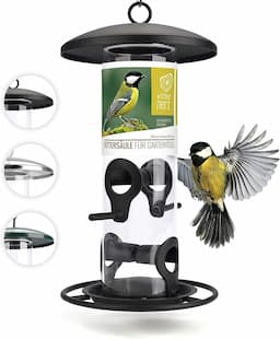Mangeoire Oiseaux 26 cm (wildtier herz, compacte)