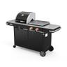 Brasero by Favex Bi-Energy L — plancha gaz + barbecue charbon