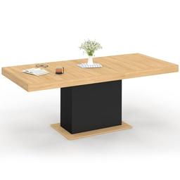 IDMarket Eden table extensible 160-200 cm bois et noir, 6-10 pers.