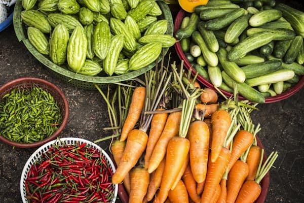 Astuces Jardinage — BonneAstuce.fr