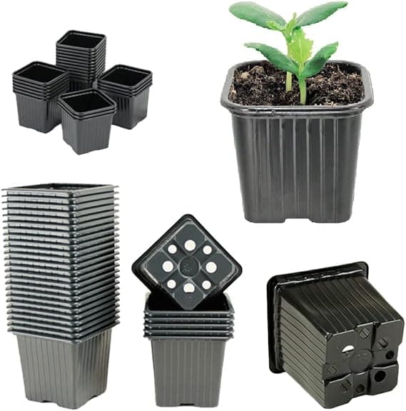 Lot de godets 8cm pour bouturage