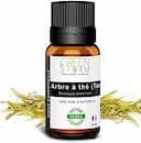 Huile essentielle Tea Tree
