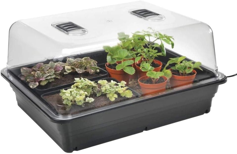 Mini serre de bouturage