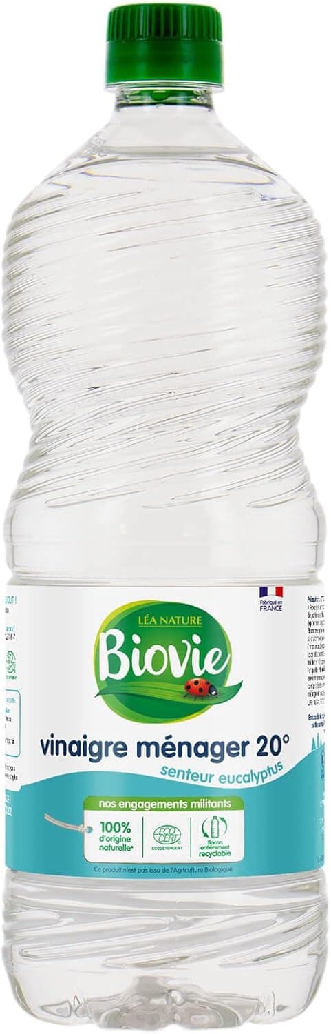 Mère de vinaigre bio vivante
