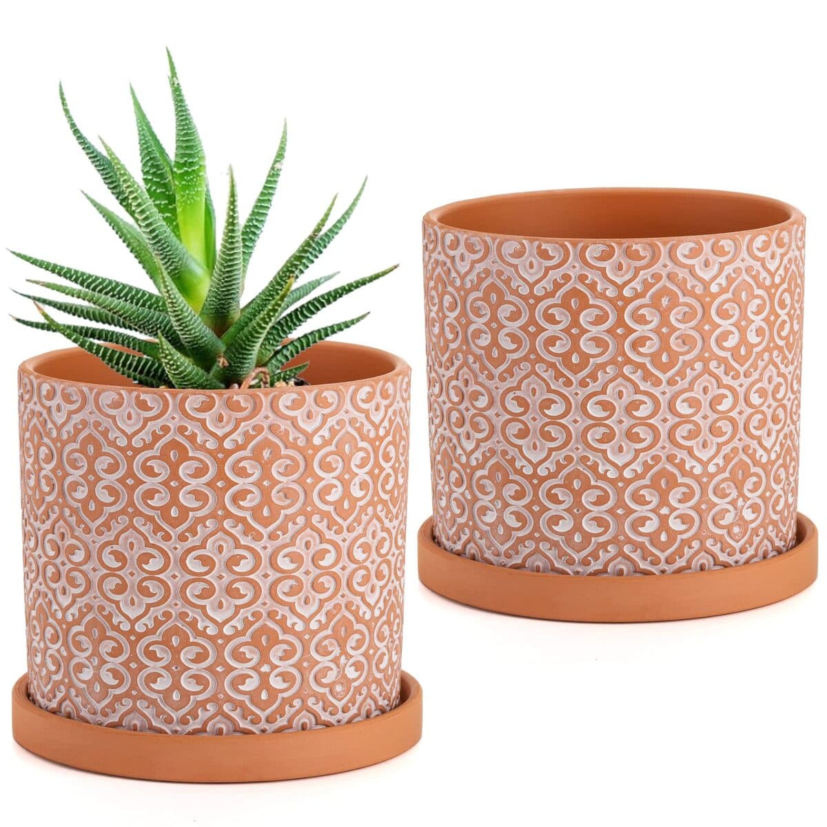 Cache-pot en terre cuite avec trou de drainage lot