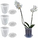Pot transparent orchidée avec trous