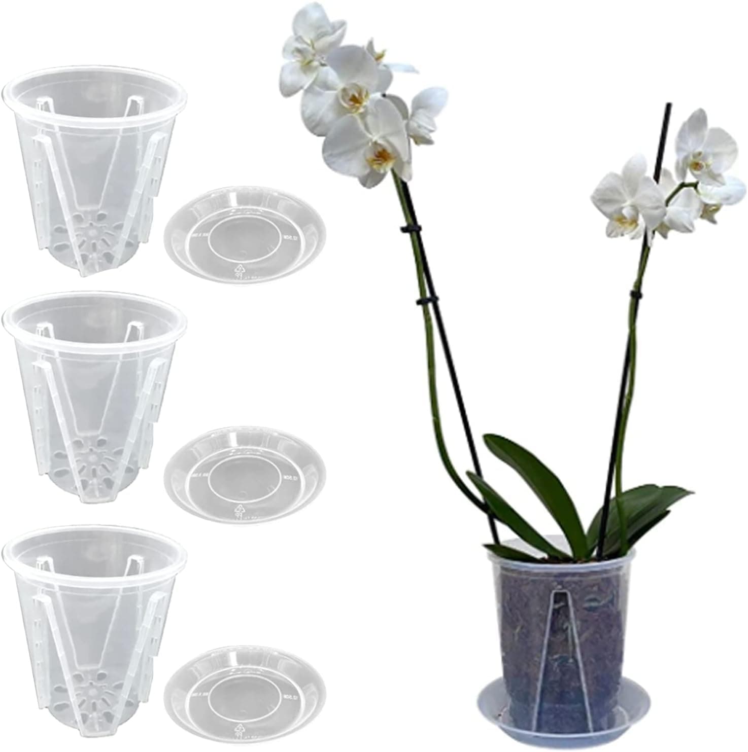 Pot transparent orchidée avec trous