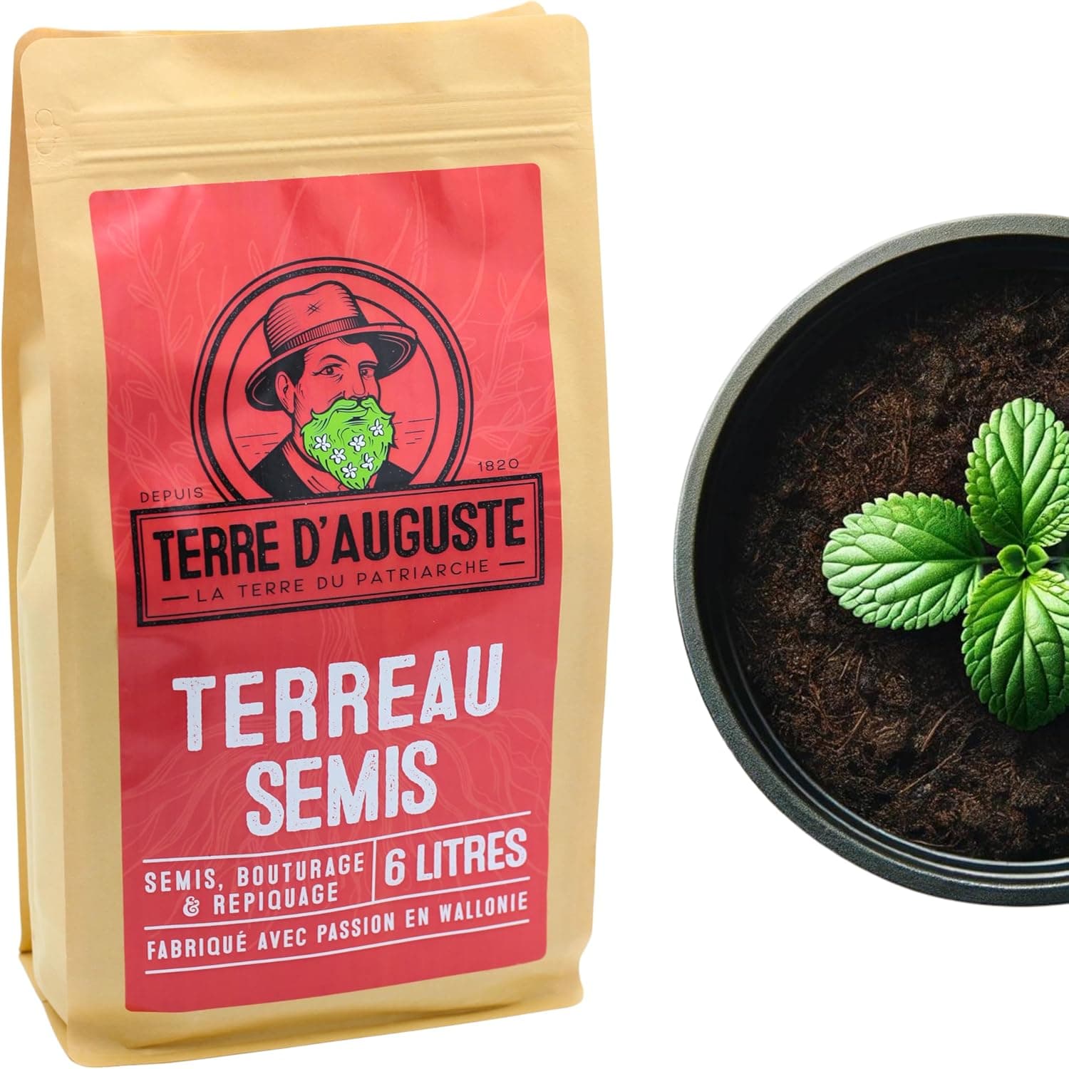 Terreau de semis spécial