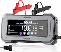 TANYO Chargeur 12V 6A portable lithium/LiFePO4