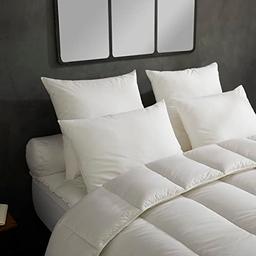 DODO Lot de 2 Micro Douceur (60x60, fibre creuse siliconée, coton)