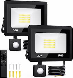 FGRYB 30W lot de 2 avec télécommande (IP66)