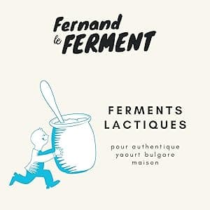 Ferments lactiques lyophilisés pour yaourt