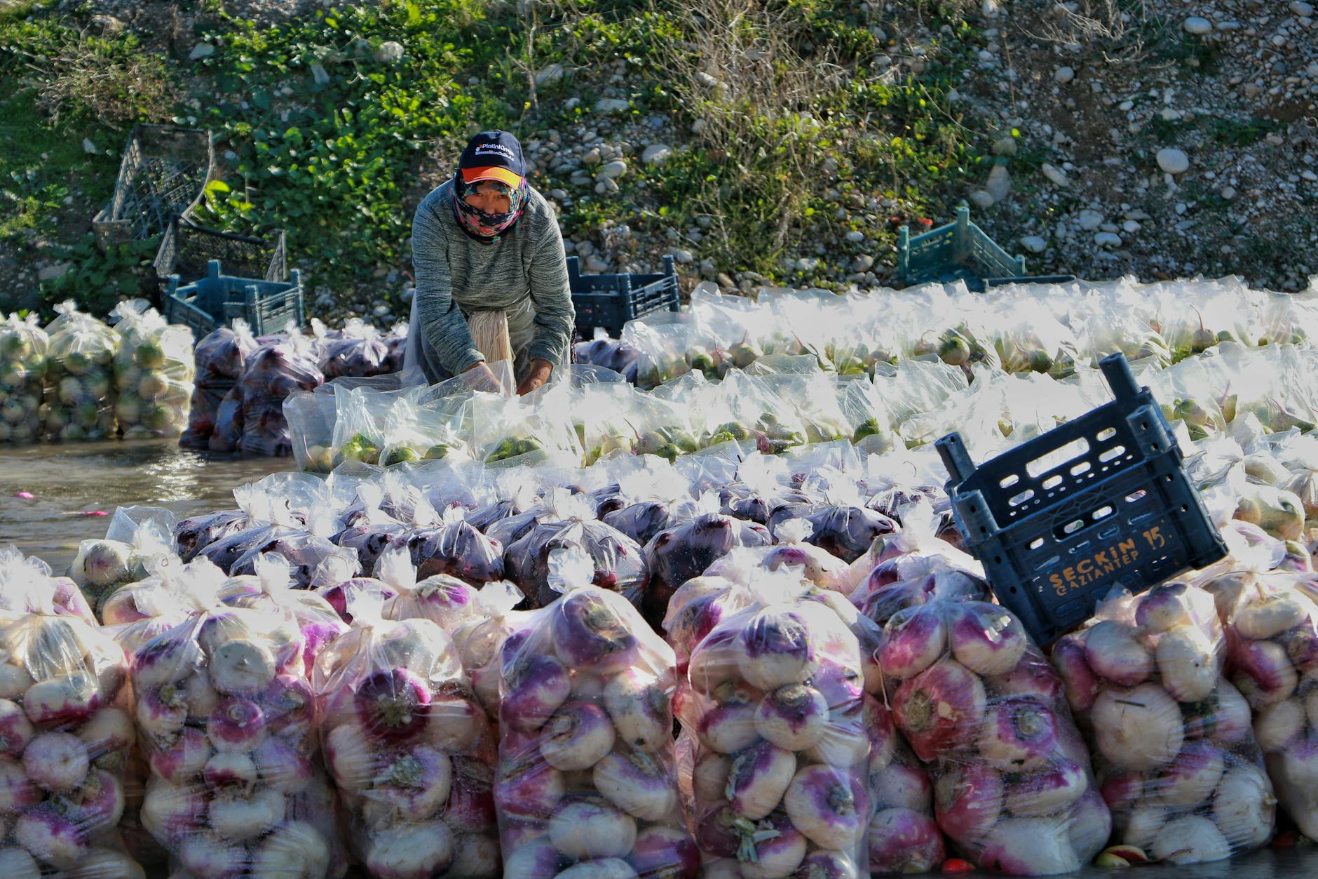 Congeler les légumes du jardin pour garder vitamines et goût [Facile]