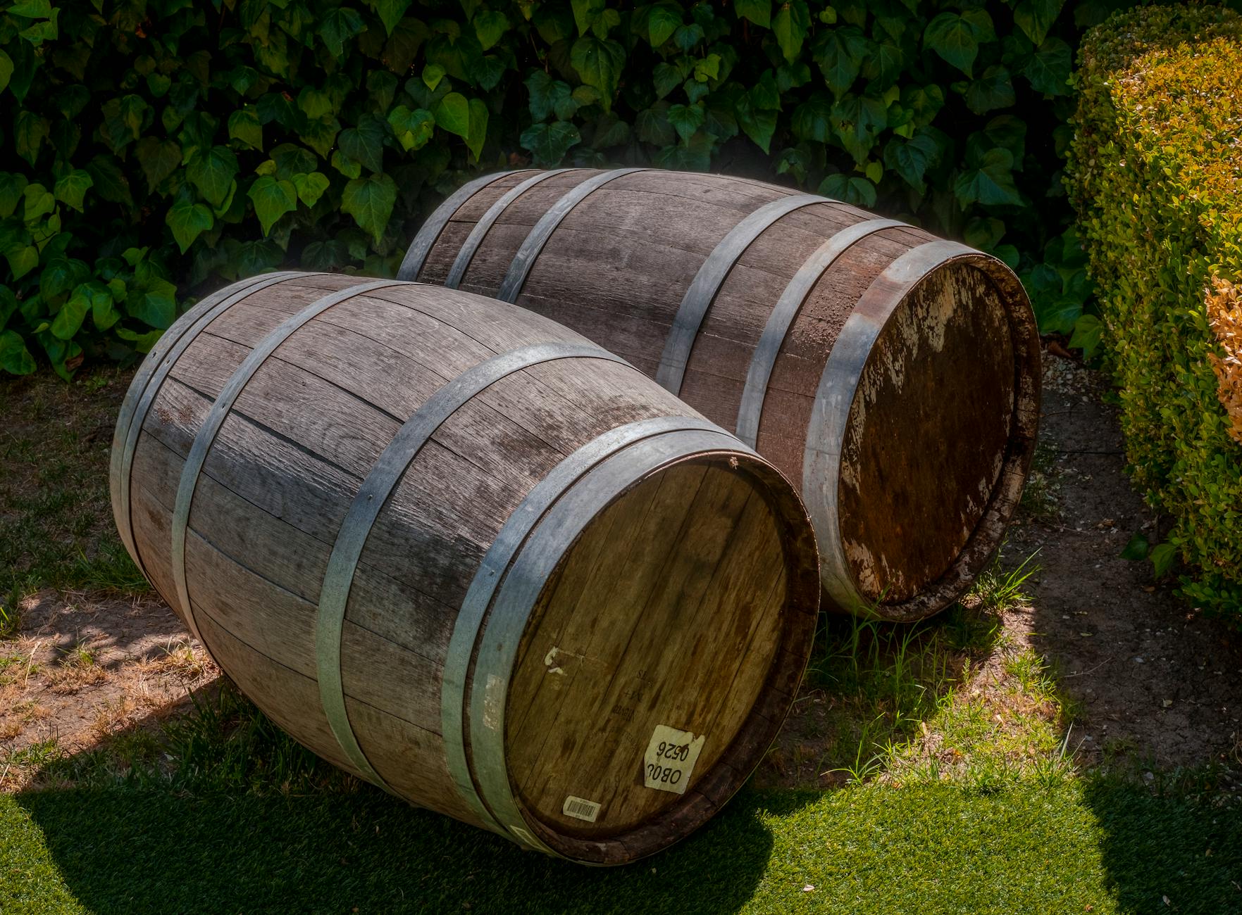 Récupérer et recycler l'eau de pluie pour le jardin [Teste]