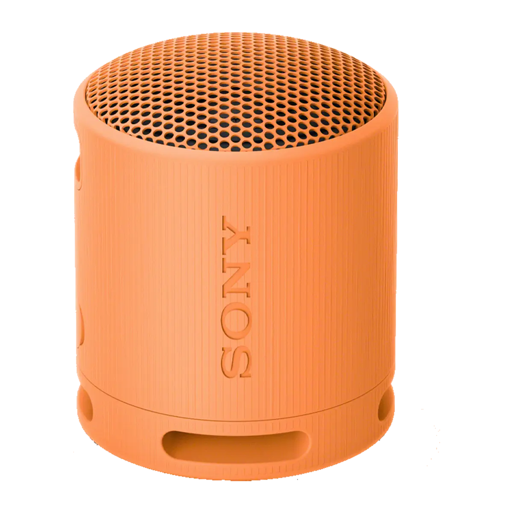 Sony SRS-XB100