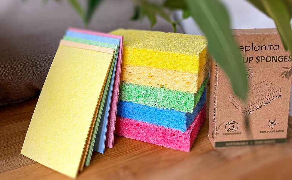 Lot éponges en cellulose naturelle