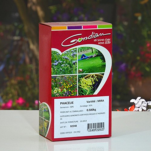 Graines de phacélie 500g