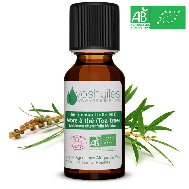 Huile essentielle tea tree bio