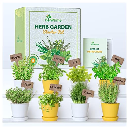 Kit aromatiques pour balcon (graines)