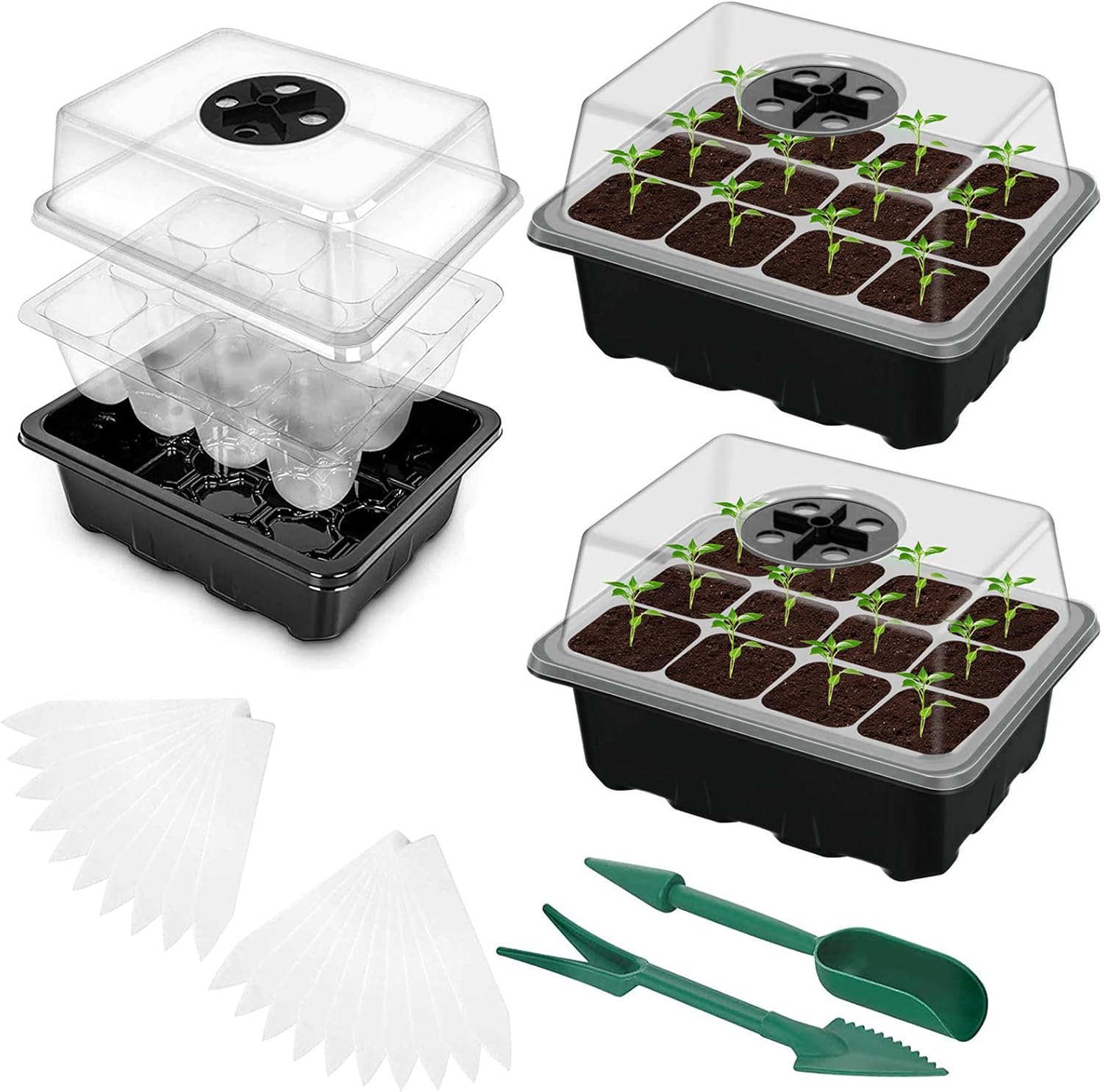 Kit de semis avec plaques alvéolées et mini-serre