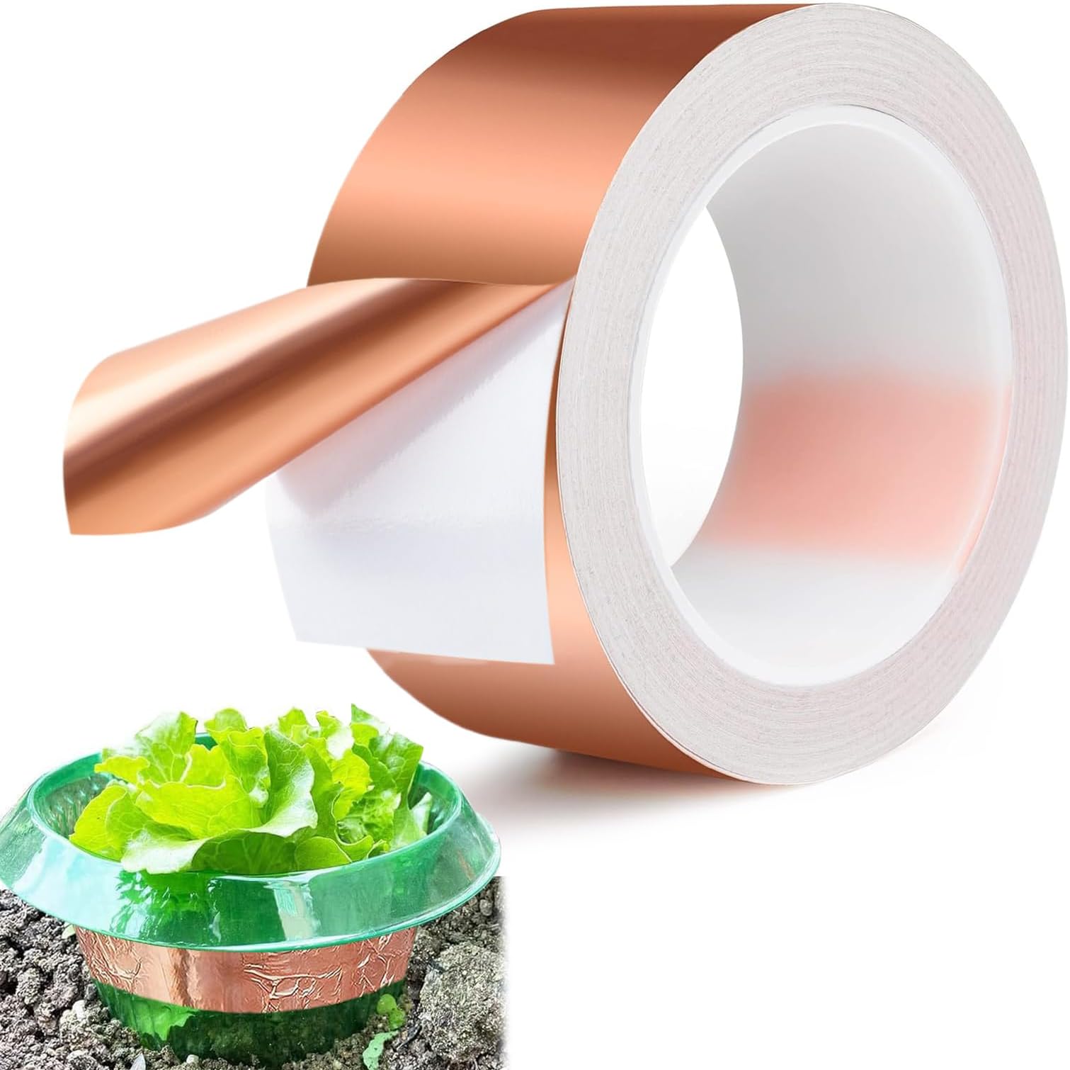 Ruban de cuivre anti-limaces