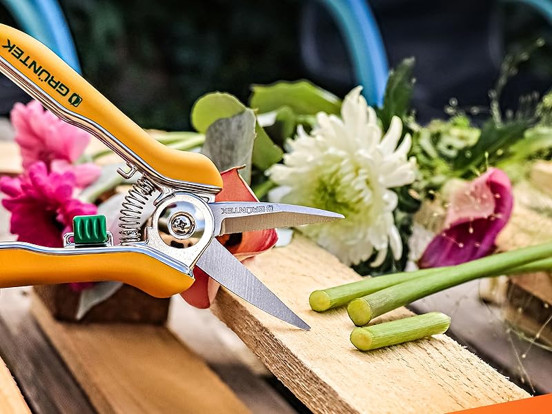 Sécateur de précision jardin