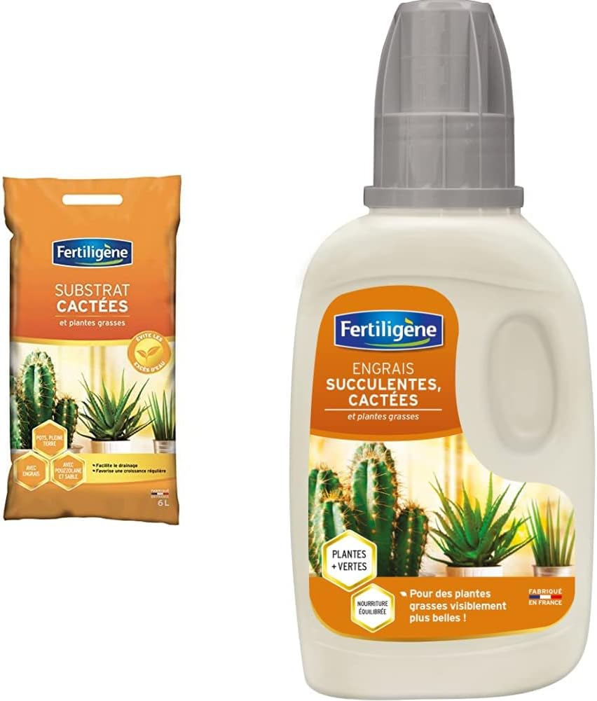 Substrat spécial cactées et succulentes