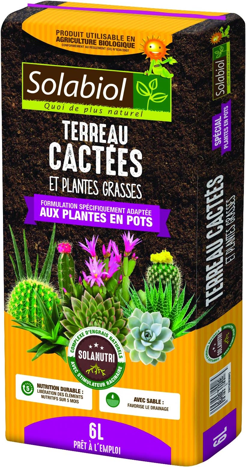 Terreau cactus et plantes grasses 6L