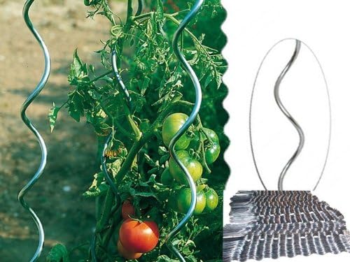 Tuteurs spirale métal pour tomates