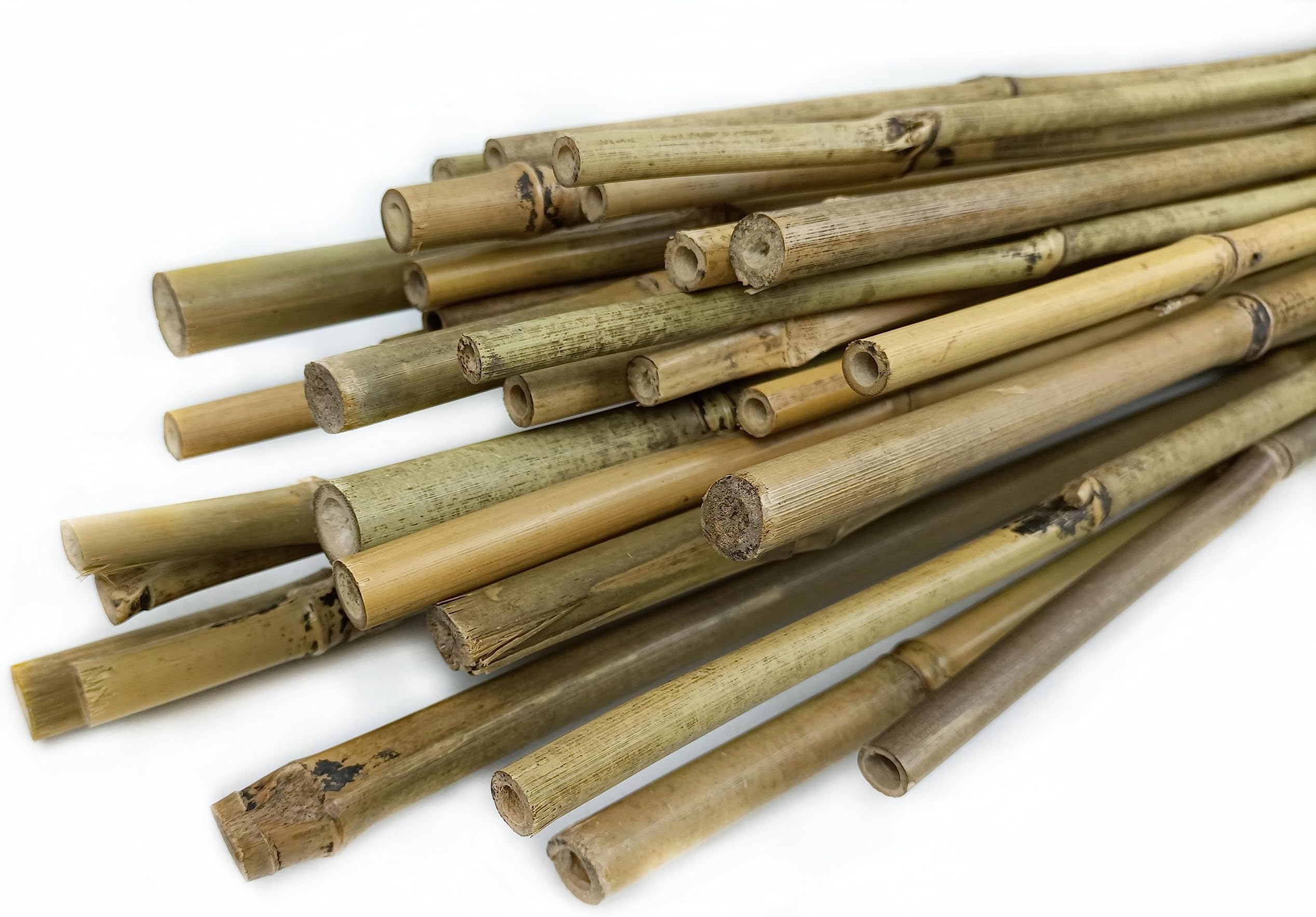 Tuteurs bambou 180 cm (lot)